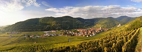 Kaysersberg and its castle viewed from the Schlossberg Grand Cru vineyard with Clos des Capucins on the far left HautRhin France  Alsace
