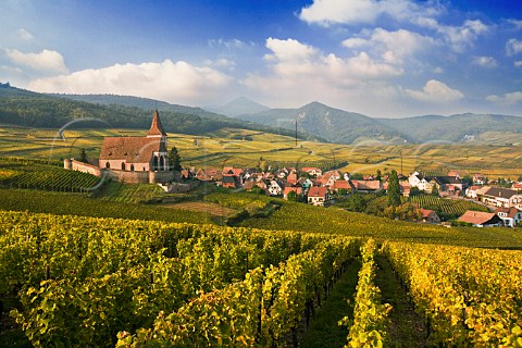 Fortified church overlooking Hunawihr with Rosacker Grand Cru vineyard beyond HautRhin France  Alsace