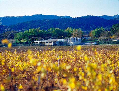 Kalyra winery and vineyard Santa Ynez Santa   Barbara Co California  Santa Ynez Valley