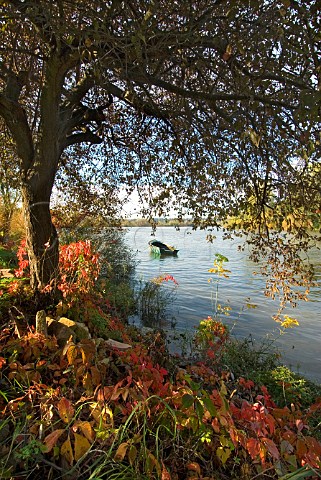 Autumn colours by the Dordogne River at   SainteTerre near CastillonlaBataille Gironde   France