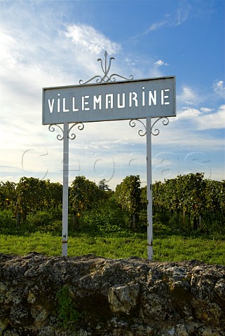 Sign in vineyard of Chteau Villemaurine   Saintmilion Gironde France Stmilion    Bordeaux