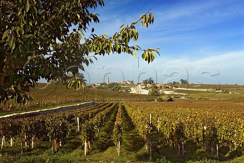 Saintmilion viewed from vineyard of Chteau   TroplongMondot Gironde France Stmilion    Bordeaux