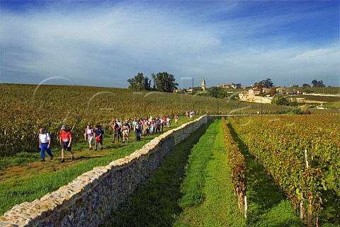 Tourists on guided walk through the vineyards at   Chteau TroplongMondot  Saintmilion Gironde   France  Stmilion  Bordeaux