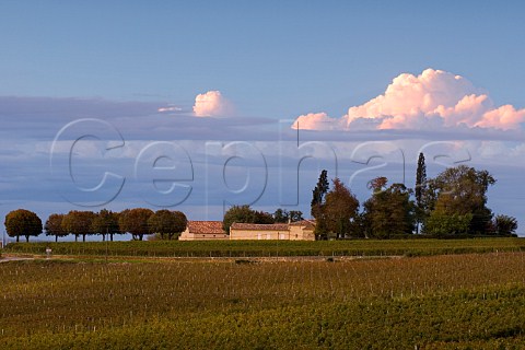 Chteau Trottevieille at sunset viewed over vineyard   of Chteau TroplongMondot  Saintmilion Gironde   France  Stmilion  Bordeaux