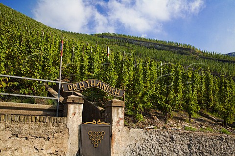 Sign for Dr H Thanisch over entrance to the Doktor  vineyard Bernkastel Germany  Mosel