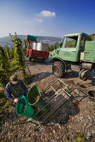 Sledge used for winching hods during the harvest of   Riesling grapes for Weingut Ww Dr H Thanisch in   the Doctor vineyard above Bernkastel and the Mosel   river Germany  Mosel