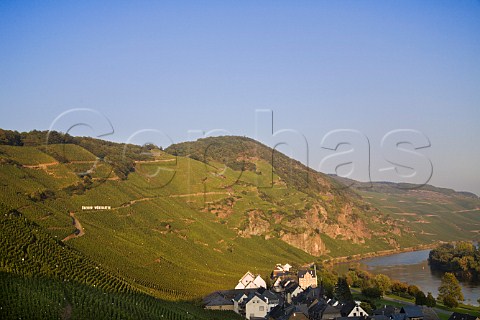 Evening light on rziger Wrzgarten vineyard above   rzig Germany  Mosel