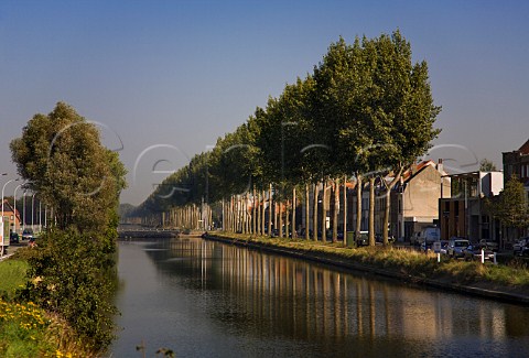 Trees lining the banks of Damse Vaart canal Bruges Belgium