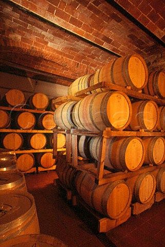 Barrel cellar of Russo winery Suvereto Tuscany Italy  Val di Cornia