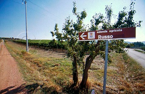 Sign to Russo winery Suvereto Tuscany Italy  Val di Cornia