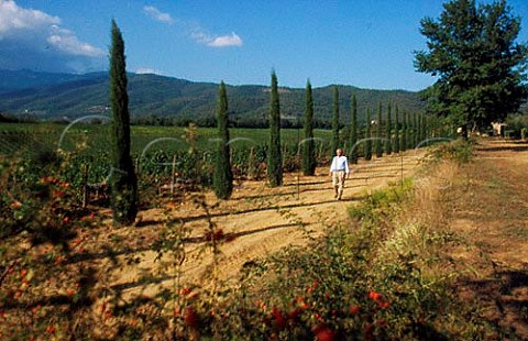 Antonio F Moretti of Tenuta Sette Ponti Terranuova Bracciolini Arezzo Tuscany Italy  Chianti Colli Aretini