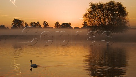 Sunrise over Leg of Mutton Pond Bushy Park London England