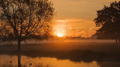 Sunrise over Leg of Mutton Pond Bushy Park London England