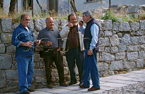 Men drinking wine in the street Oliena Sardinia Italy