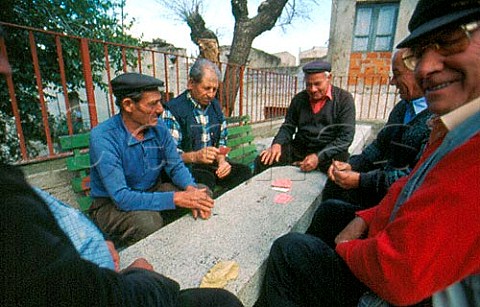 Group of men playing cards Oliena Sardinia Italy