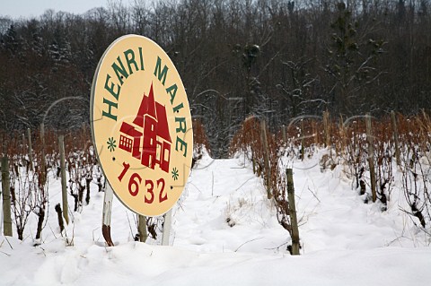 Sign in snow covered vineyard of Henri Maire ChteauChalon Jura France ChteauChalon  Vin Jaune