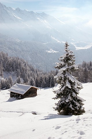 Chaine des Aravis viewed from road leading to the Col des Annes from Le GrandBornand HauteSavoie France