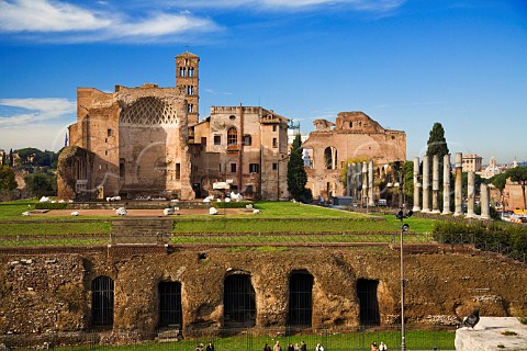 Temple of Venus and Rome in the Roman Forum Rome Italy