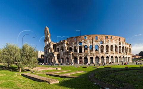 The Colosseum Rome Italy