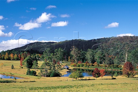 Autumn colours in Mountain Lagoon Blue Mountains New South Wales Australia