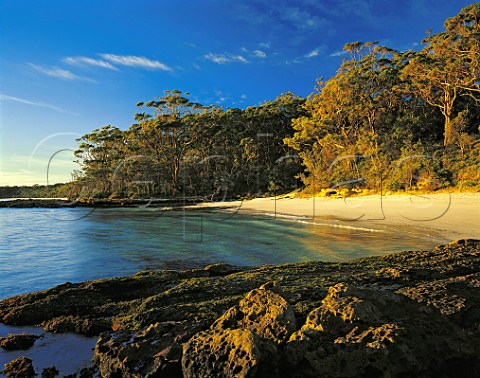 Sunrise light on sandy beach at Bristol Point Jervis Bay New South Wales Australia
