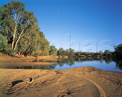 Murray River at sunrise HattahKulkyne National Park Victoria Australia