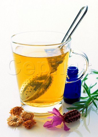 A glass mug of chamomile tea with metal infuser and lavender