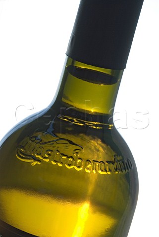 Close view on neck of Mastroberardino bottle of Lacryma Cristi white wine