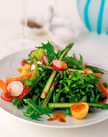 A plate of spring salad