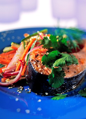 Salmon with julienne vegetables