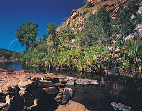 Bell Gorge in the King Leopold Ranges Conservation Park Gibb River Road Kimberley region Western Australia