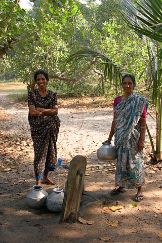 Indian women filling containers with water from an outdoor tap in the rustic fishing village of Kattoor Kalavoor Alappuzha Alleppey Kerala India