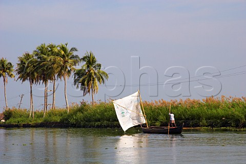 Traditional Keralan longboat kettu vallam propelled puntlike on the Kuttanad the backwaters of Kerala known as the Venice of the East  Kerala India