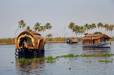 Houseboats on the Kuttanad the backwaters of Kerala known as the Venice of the East Kerala India