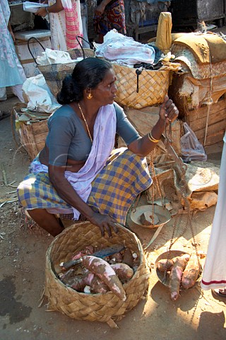 Woman selling sweet potatoes at Connemara Market Thiruvananthapuram Trivandrum Kerala India
