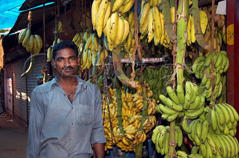 Man selling bananas in Connemara Market Thiruvananthapuram Trivandrum Kerala India
