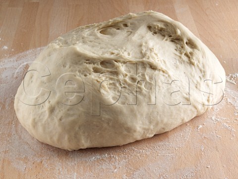 All purpose dough proving