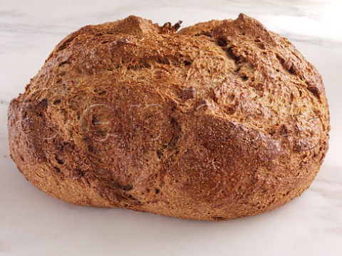 Whole wheat Loaf