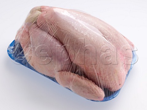 Cephas Picture Library Asset Details 1209832 Clingfilm Wrapped Fresh Chicken