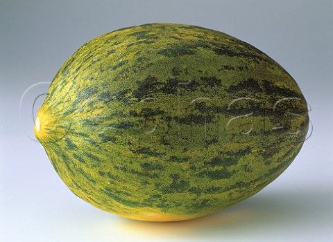 Piel De Sapo melon
