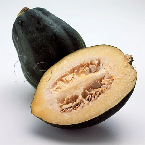 Acorn Squash