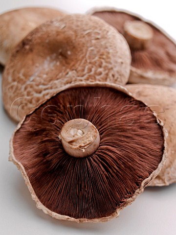 Portobello mushrooms