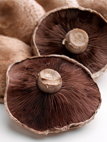 Portobello mushrooms