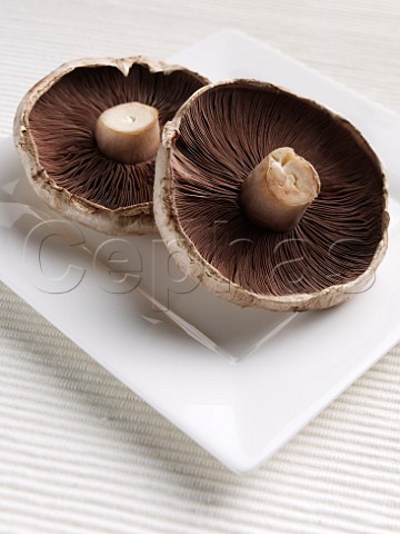 Portobello mushrooms