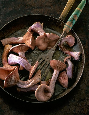 Mushrooms being cooked