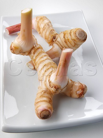 Two pieces of galangal on a white platter
