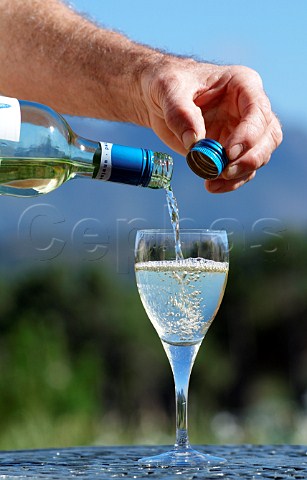 Pouring glass of white wine from a screwcap bottle South Africa