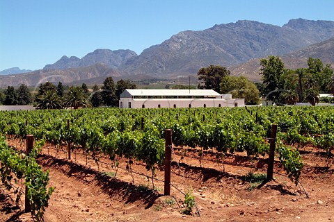 Conradie winery and vineyard Worcester South Africa