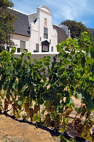 Groot Constantia Cape Dutch manor house Constantia South Africa