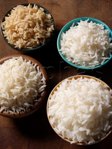 Variety of Rice